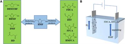 Paired electrocatalysis in 5-hydroxymethylfurfural valorization